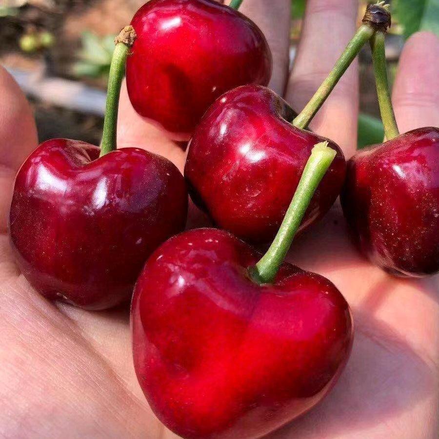 30824818192的头像