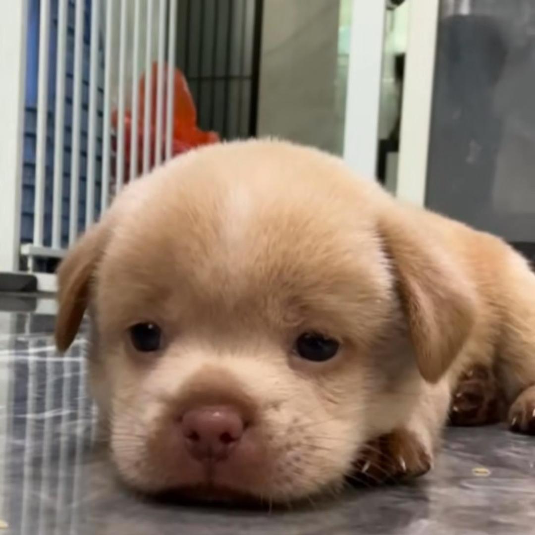 没意思🐩