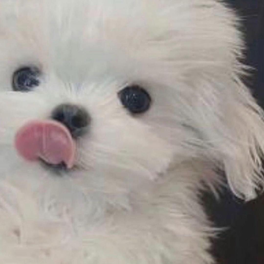 77