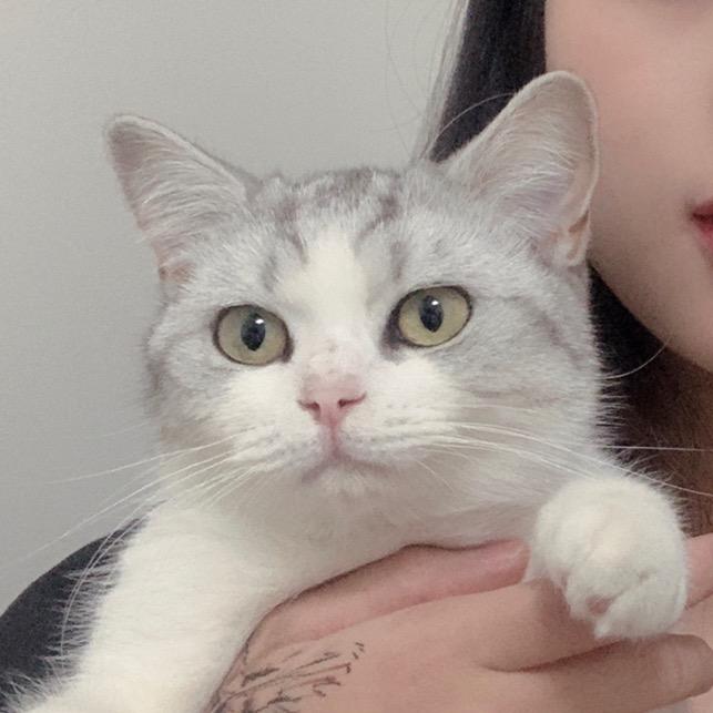 Sie