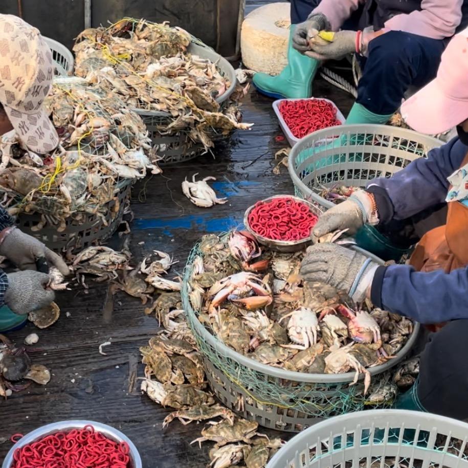 海鲜供应商