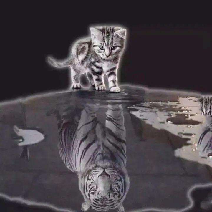 顺顺顺