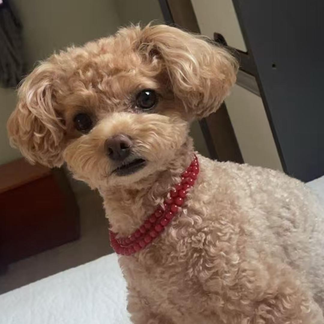 一舒