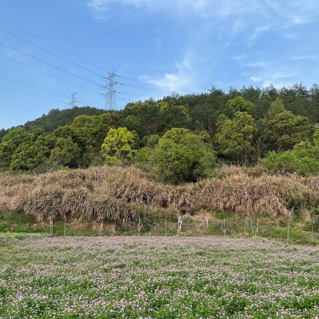 渝合丰小七