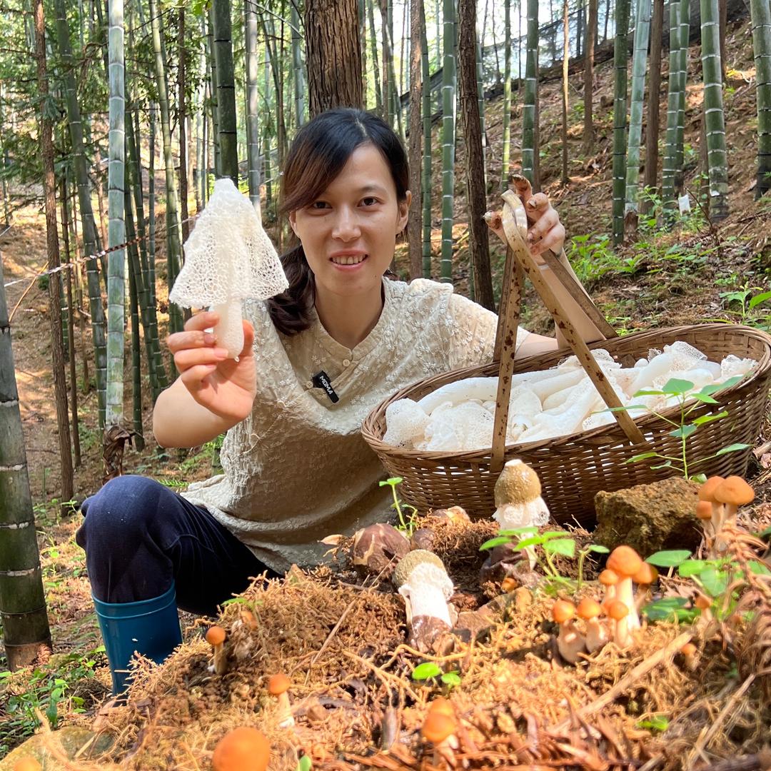乡村福英（竹荪季）