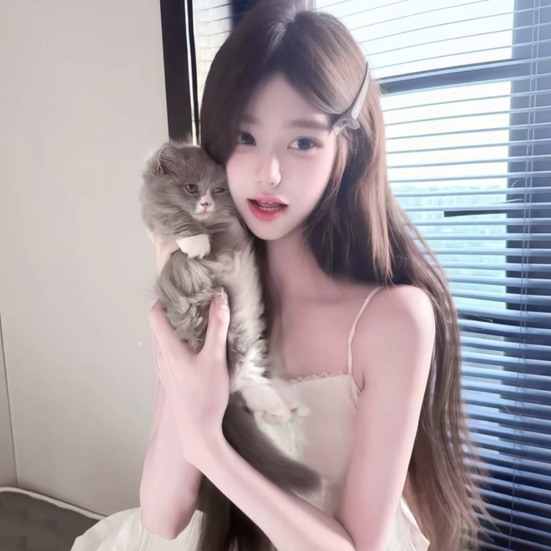 小哲是只猫