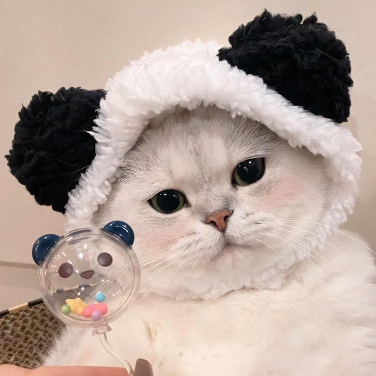 fi uu f
