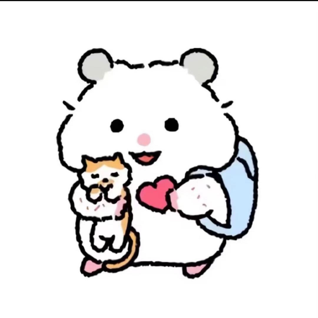 追鱼的猫