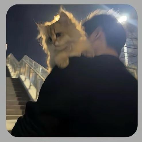 悲伤小狗