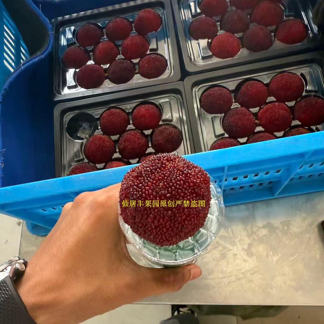 台州泽泰贸易有限公司企业店