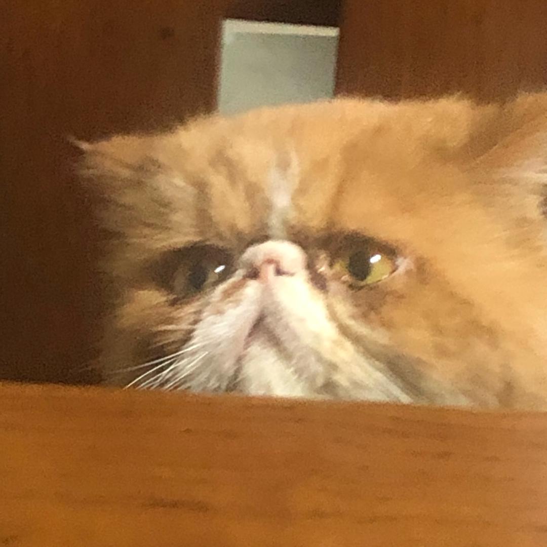 🌈夕米cake&花（东时区店）