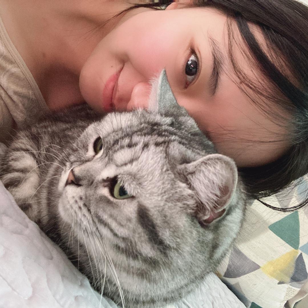 芋圆兔子
