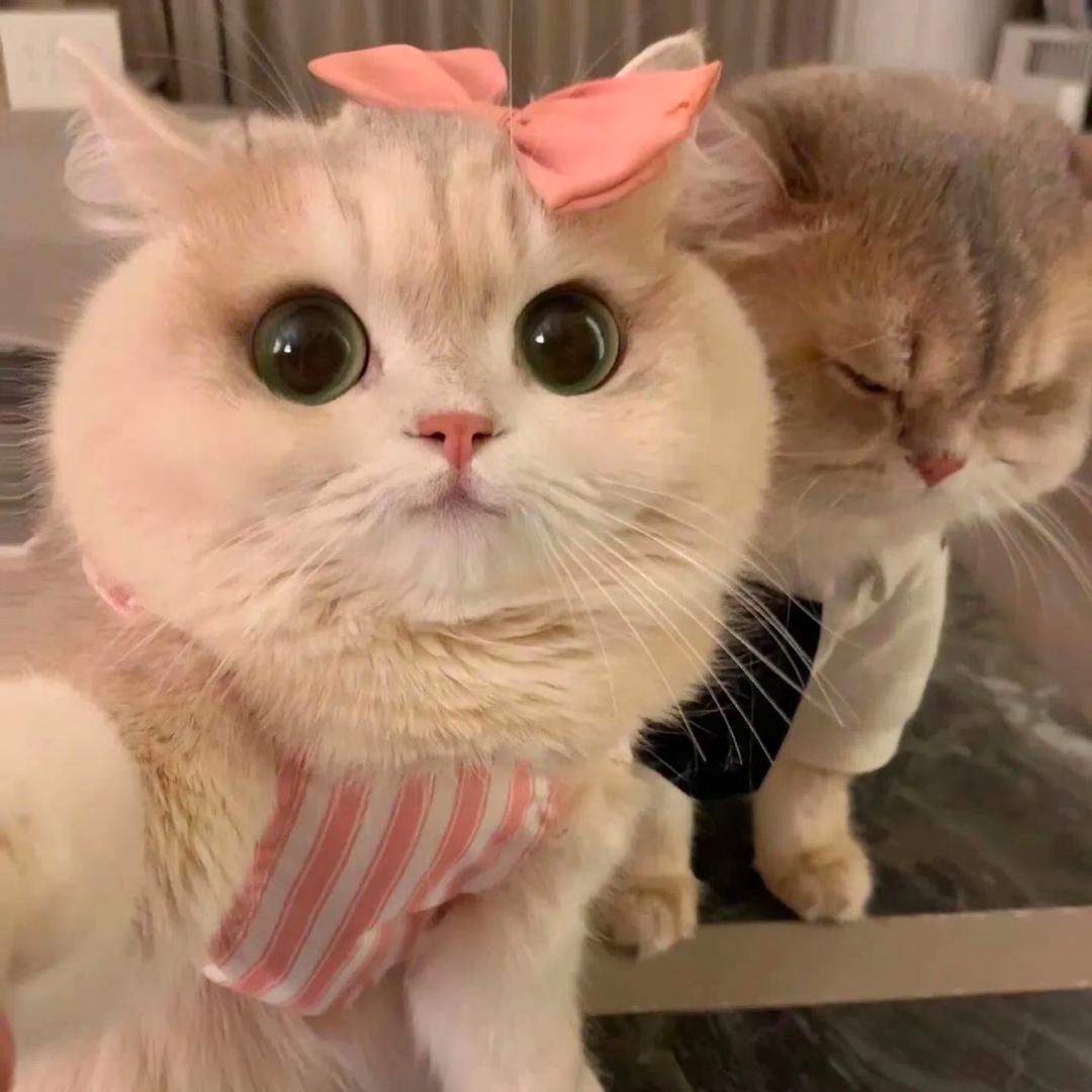 许