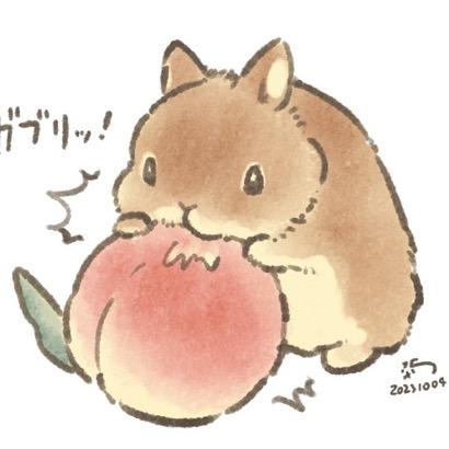 是一只小白兔🐰