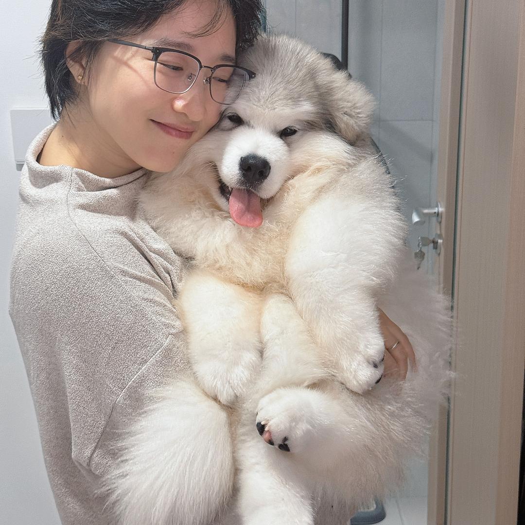 太白金星