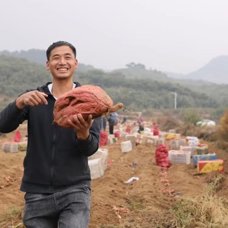 燕山禹涛农产品