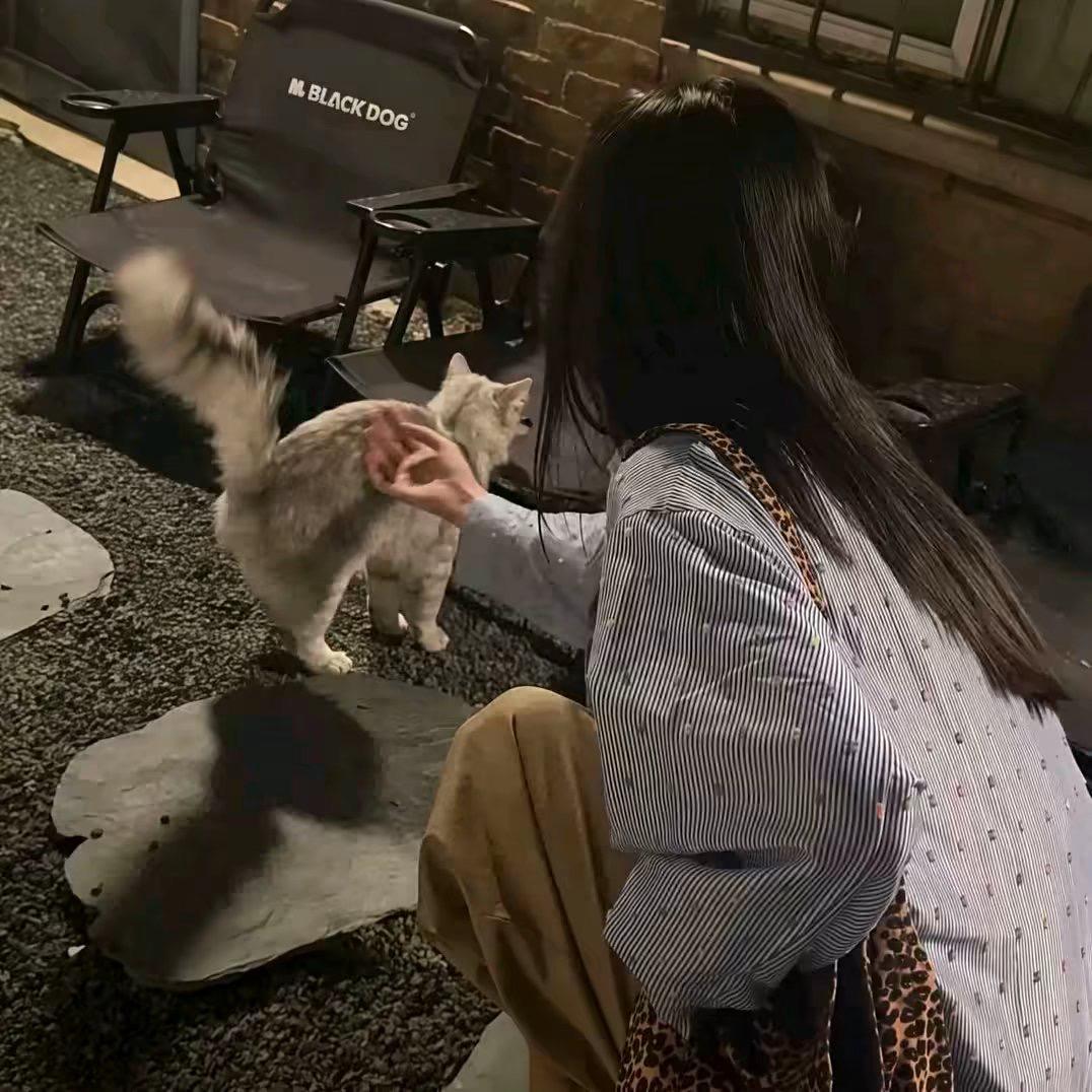 陈美玲啊