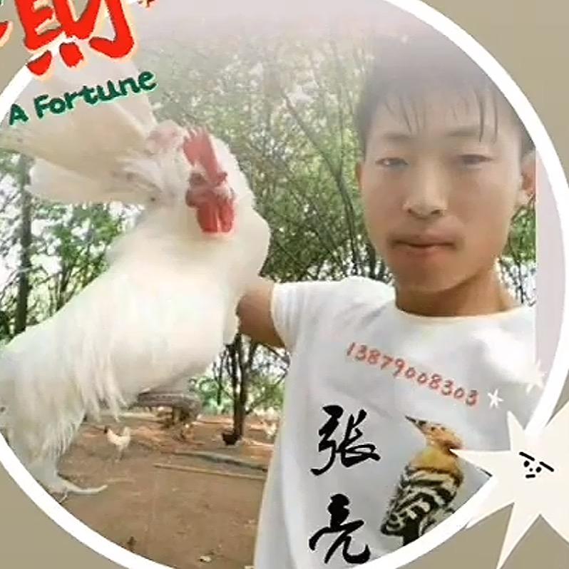 TA9生态农场-张亮