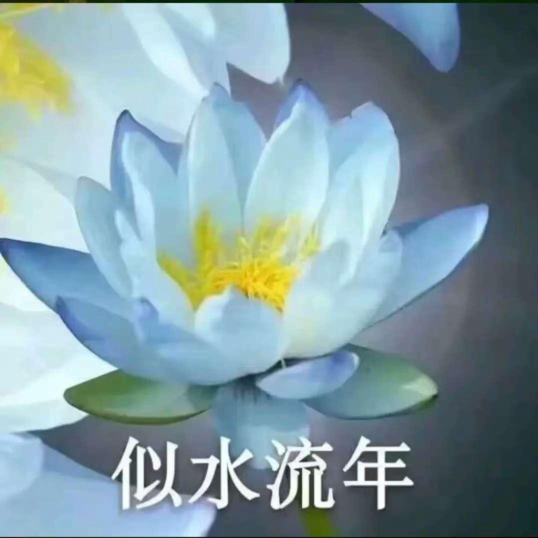江山如画