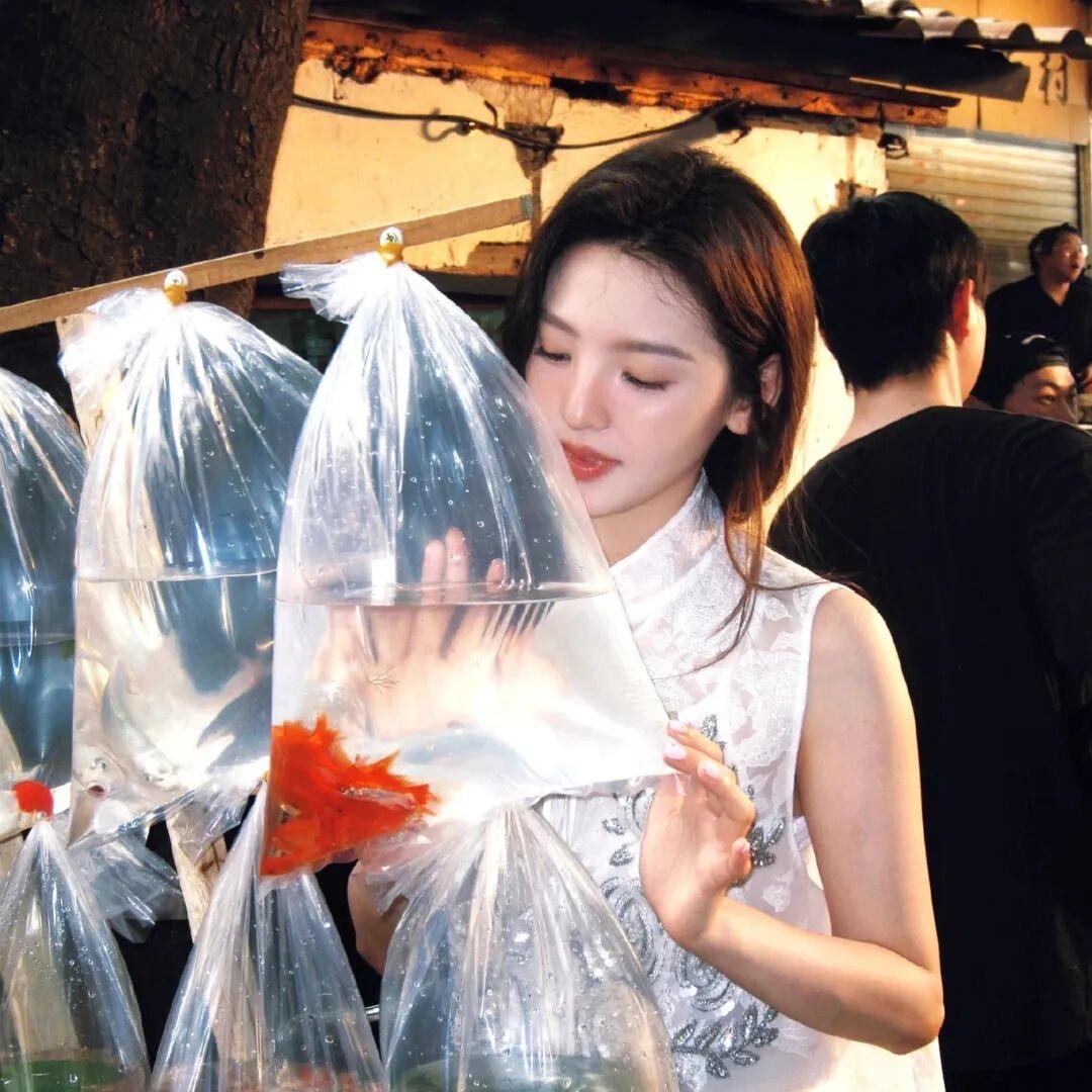 爱吃菠萝的小羊