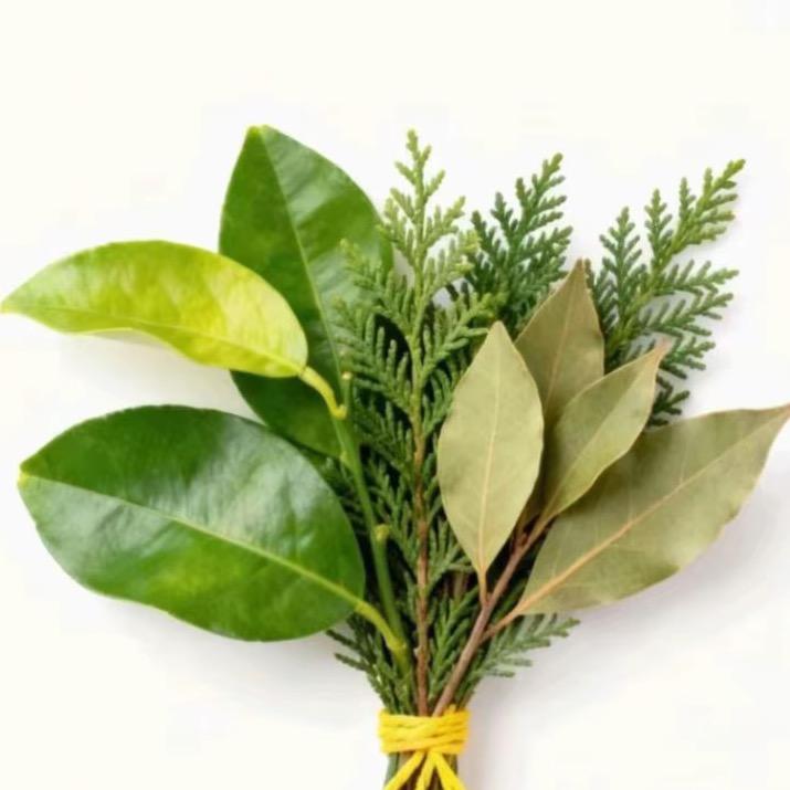 鸣鸣你也很爱我