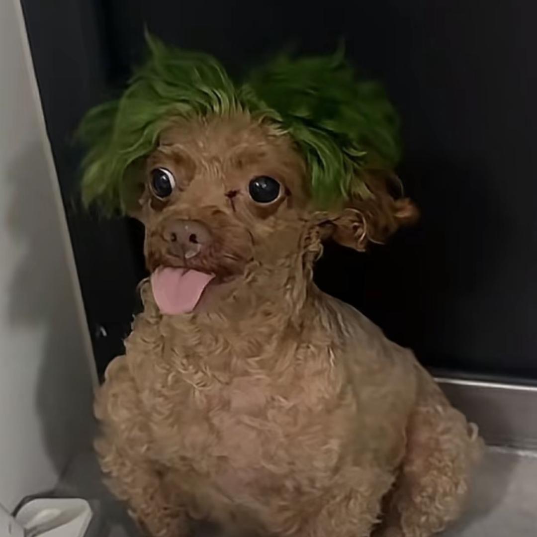 老公为养小5背着小4在外做0被小3发现