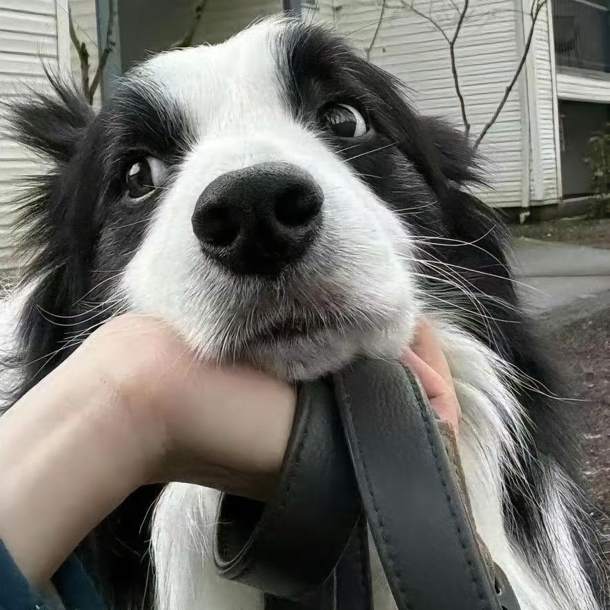 又是秋风起