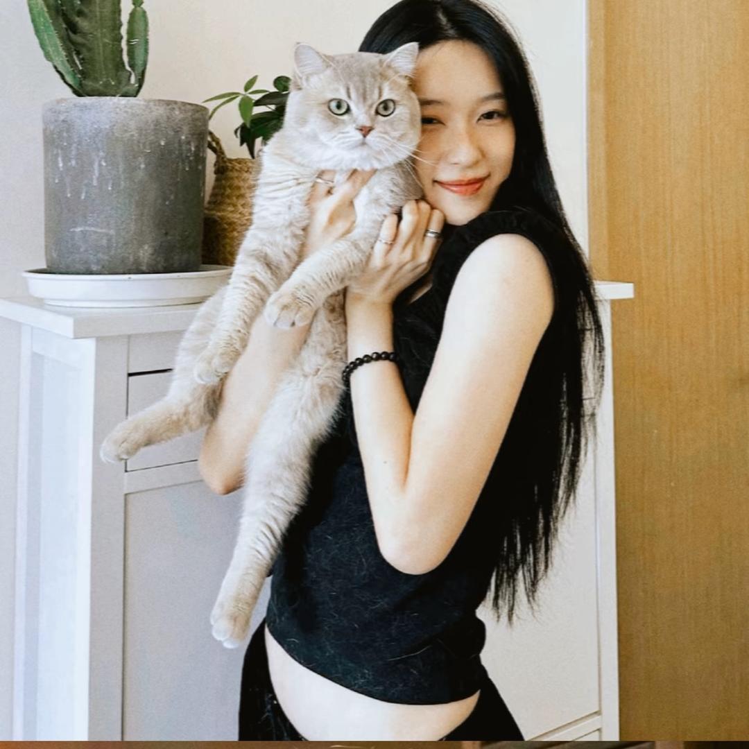 晚风.