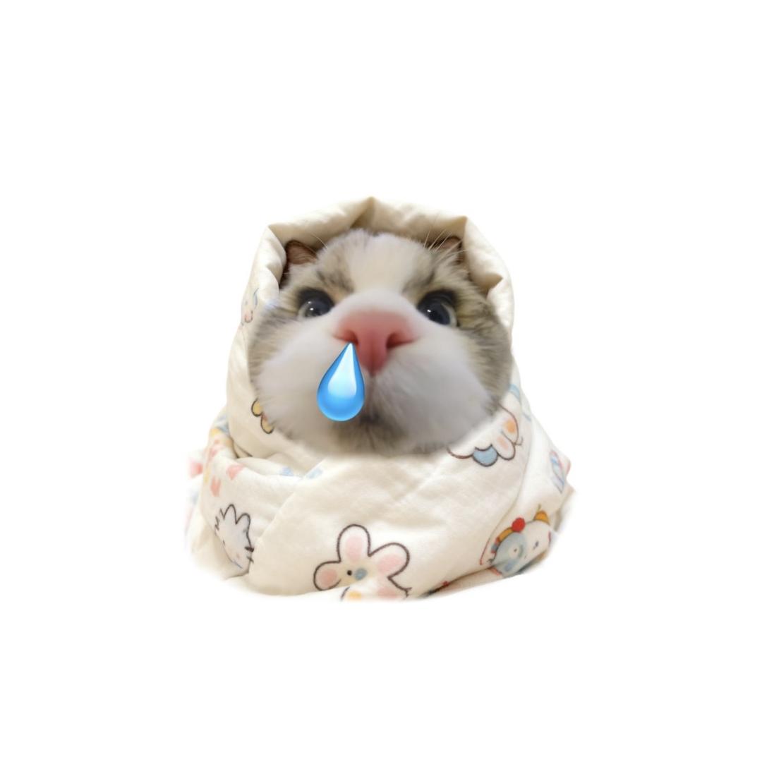 就是现在