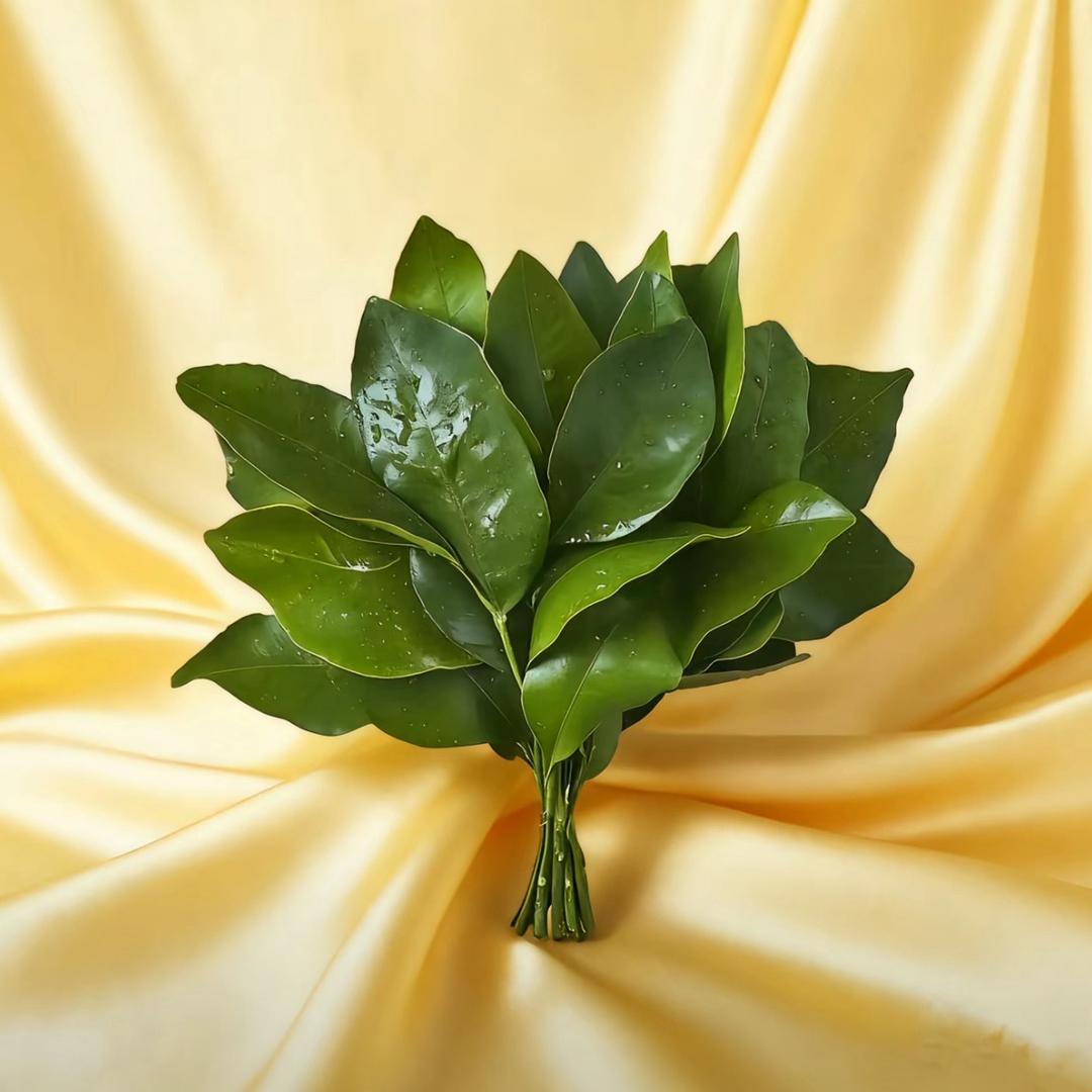 瘦瘦.
