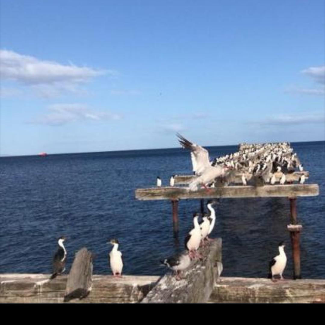 🧚‍♀️🧚‍♀️