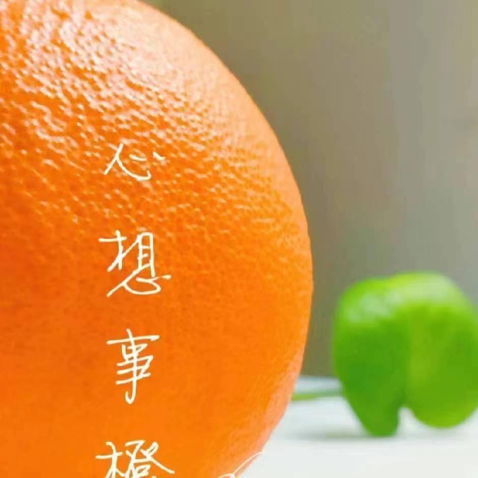 青梧～粤M