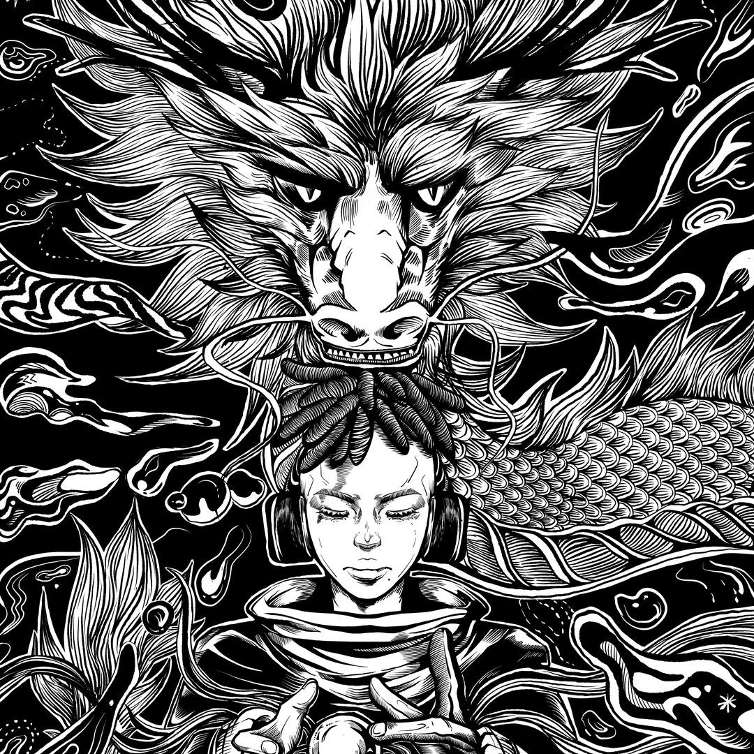 赵辰龙从不直播