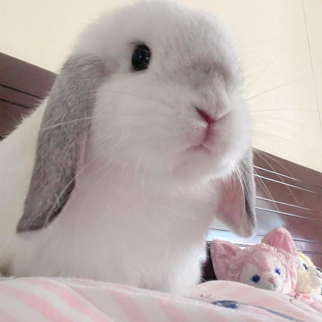 L^_^