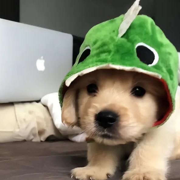 我酷兔兔丽丽古天乐姐姐