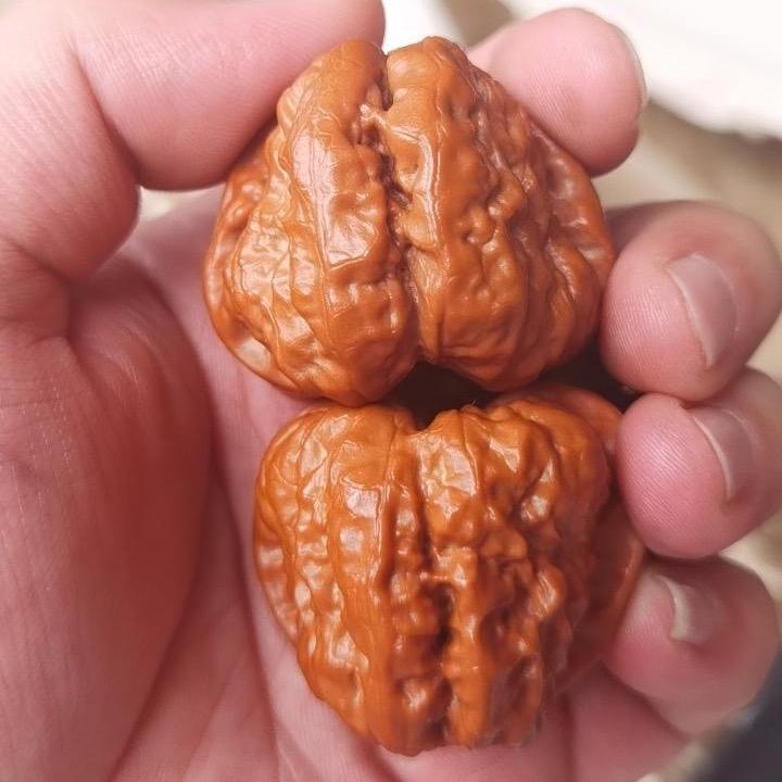 楠楠文玩核桃