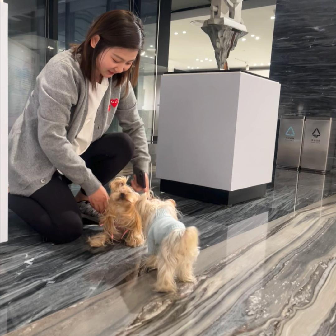 pink纹眉 丨大妮子