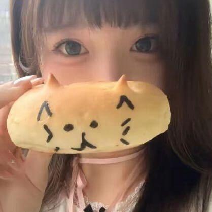 加菲猫