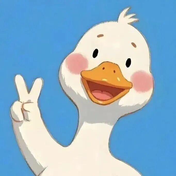 1991🐑