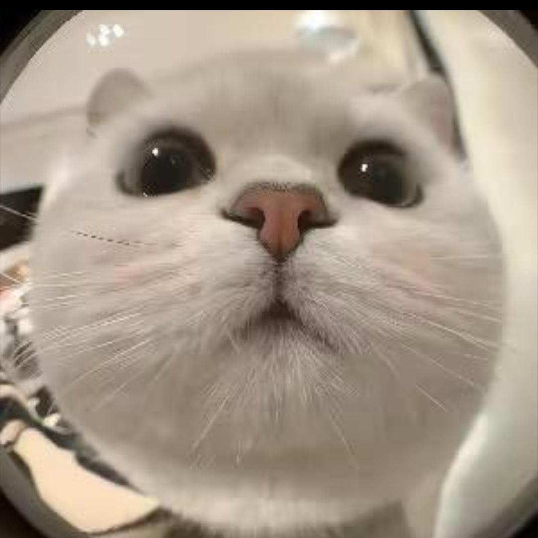 小u