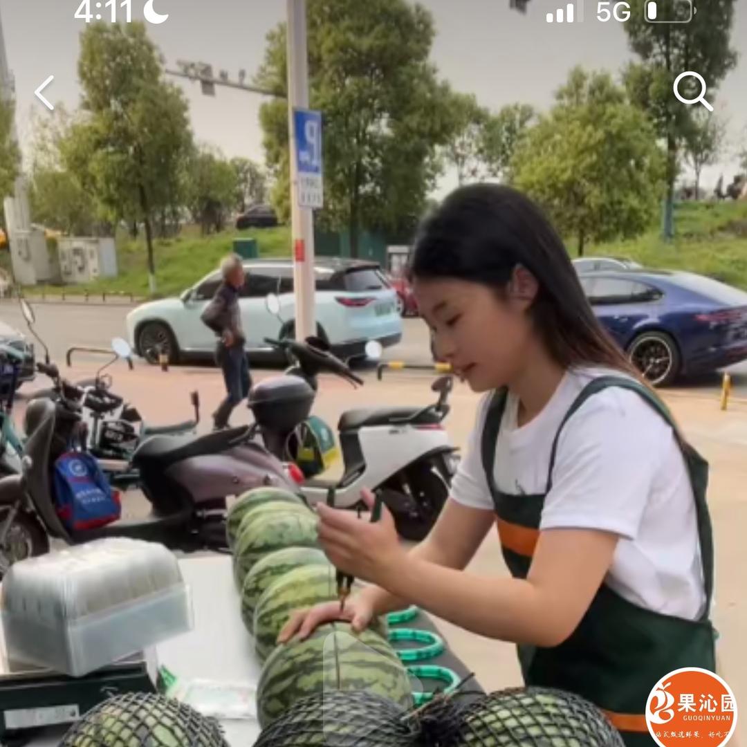 你家琴妹（果沁园）