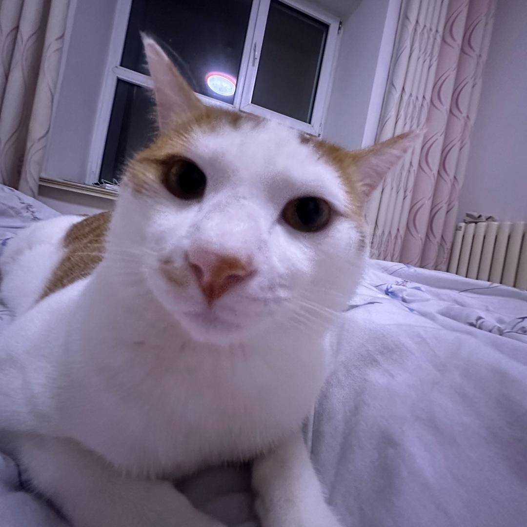 大蒜女王🧄（货代版