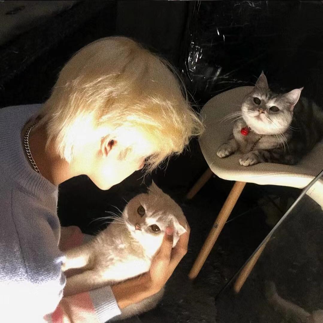 Yu .苏兮乐