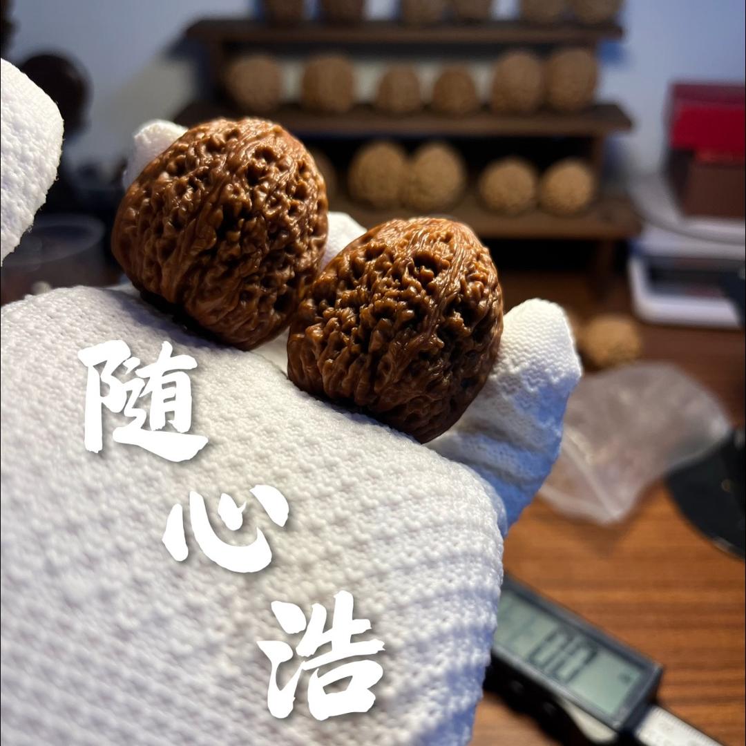 随心浩