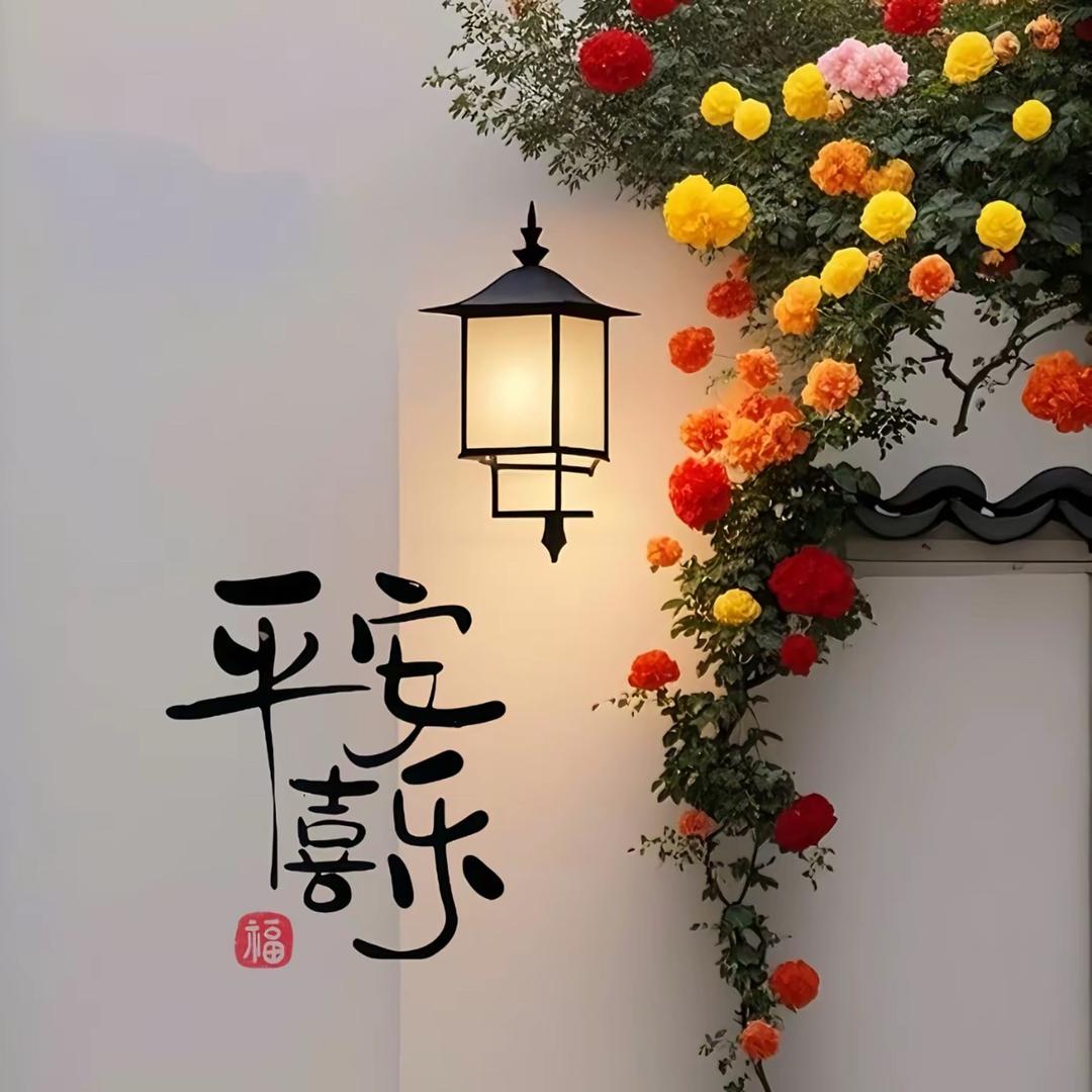 向家小姐姐
