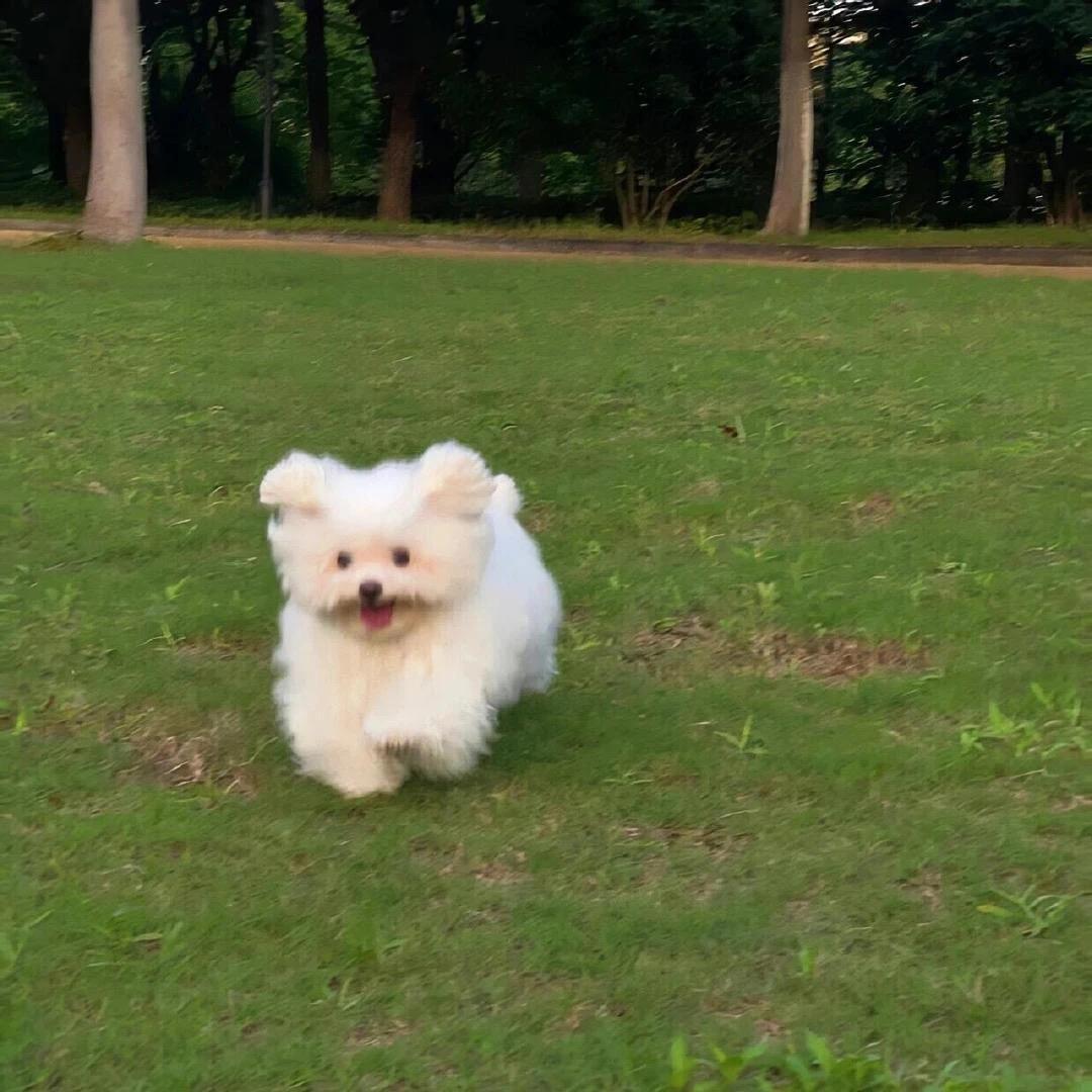 如果有一场意外