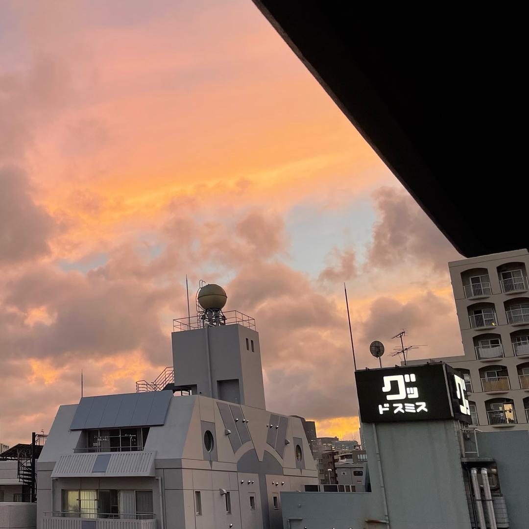 薇尔莉特0v0