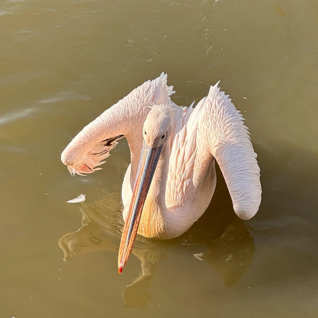 跑起来就不冷了