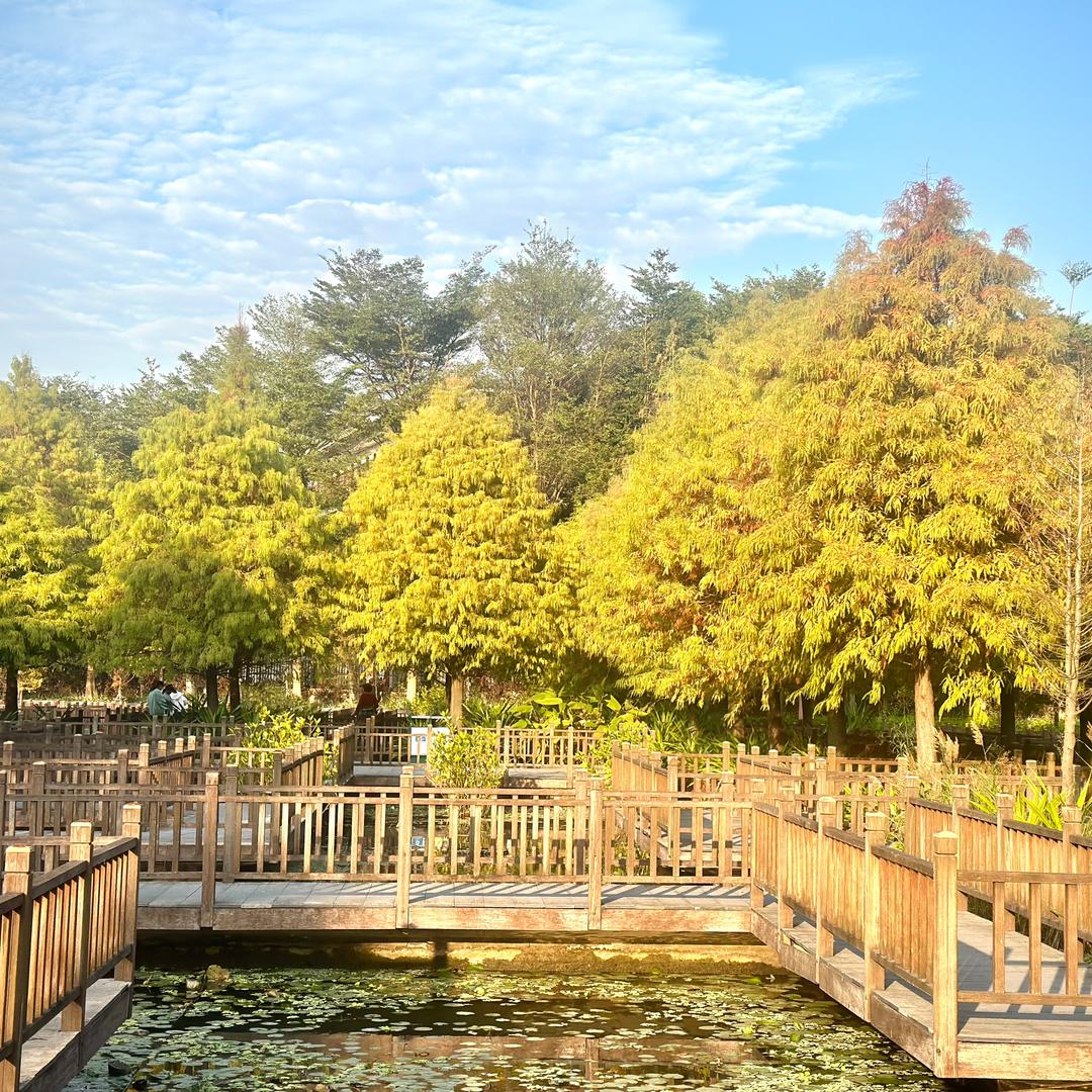 潮流壹号