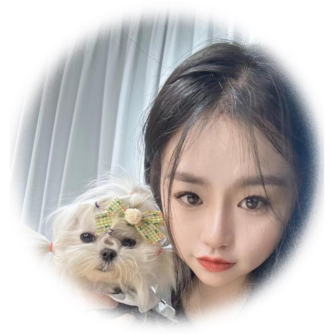 小刘姐韩版米奇耳比熊